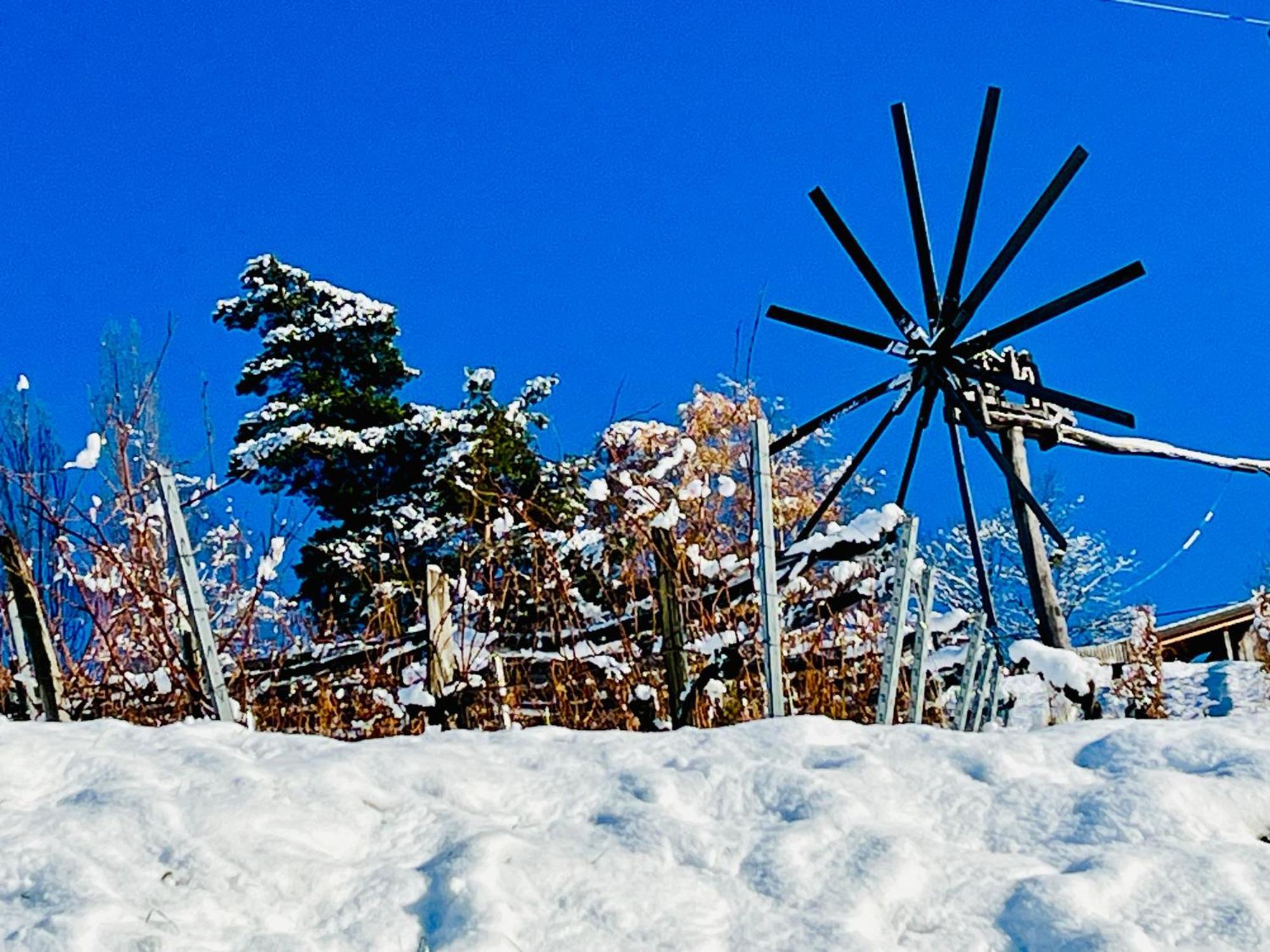 Ferienhaus Sausalblick Großklein Exterior foto